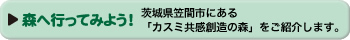 森へ行ってみよう！