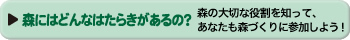 森にはどんなはたらきがあるの？