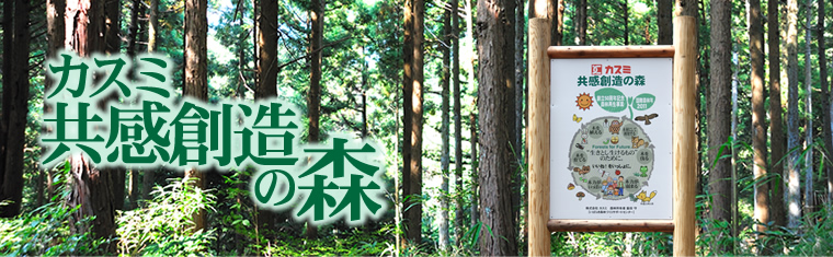 カスミ共感創造の森