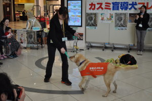 盲導犬フレンドクラブ