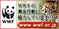 ＷＷＦジャパン（世界自然保護基金)